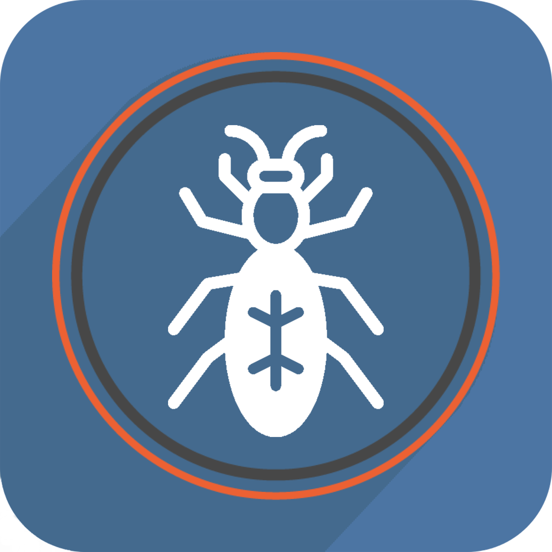 Icon Web 1