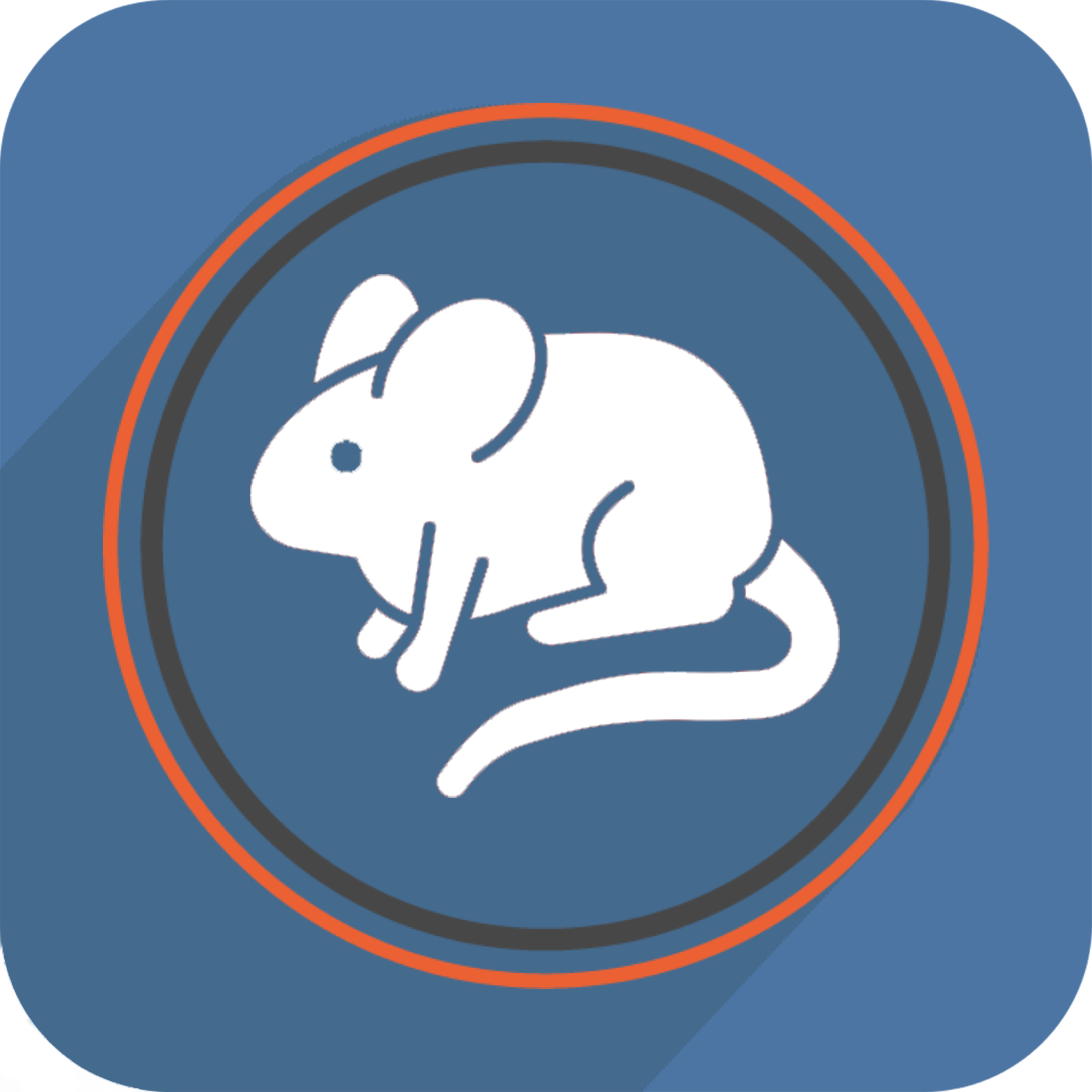 Icon Web 4