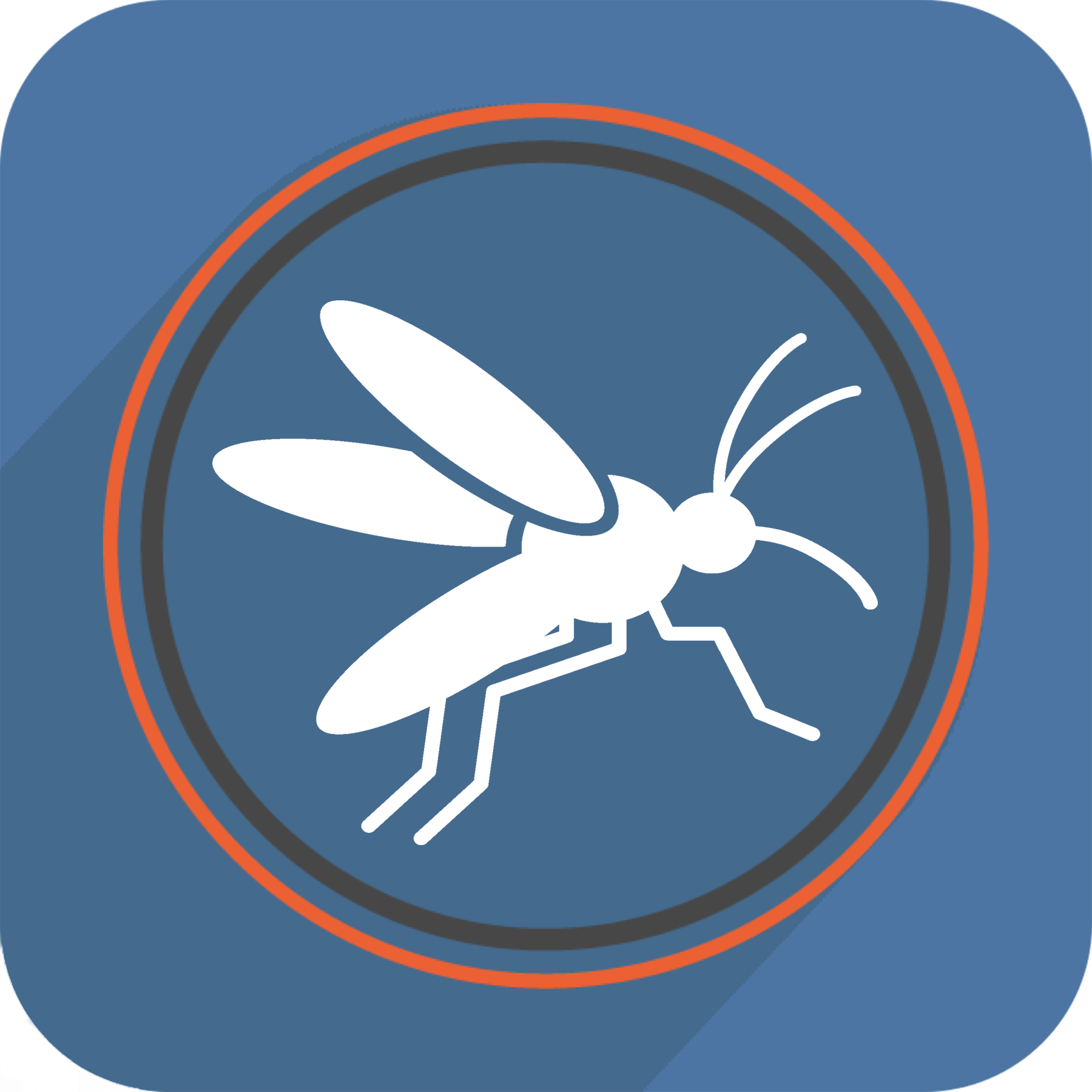 Icon Web 6