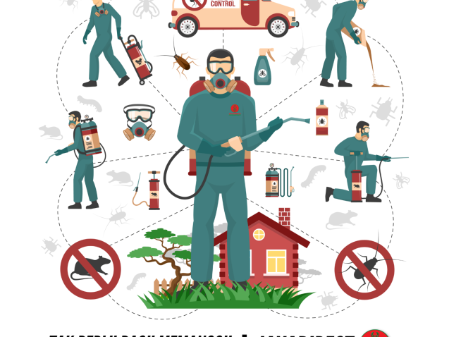JASA PEST CONTROL DI RUMAH ANDA, PERLU ATAU PERLU BANGET