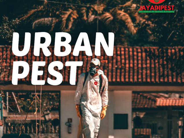 Pengendalian Hama di Perkotaan (Urban pest)