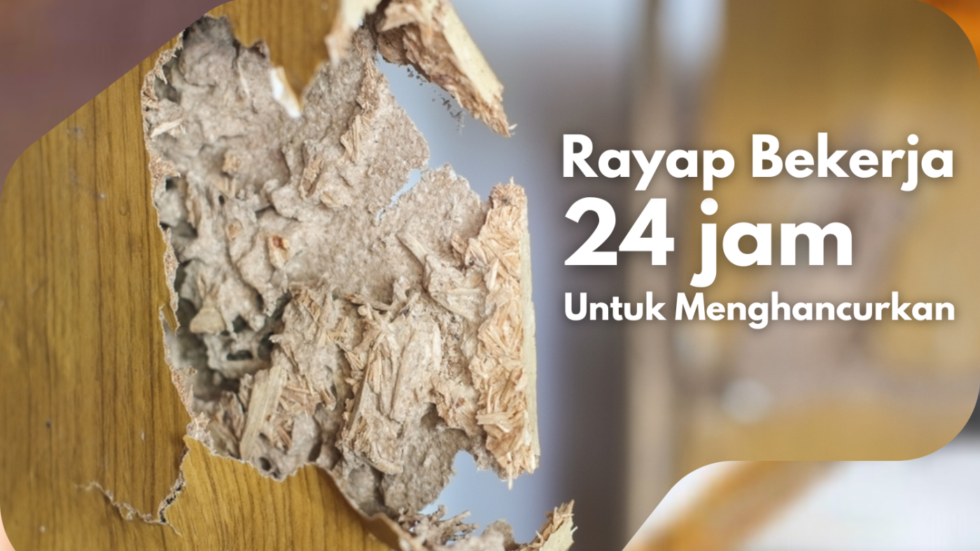 RAYAP BEKERJA 24 JAM MENGHANCURKAN PROPERTY ANDA, MASIH MAU MENUNDA