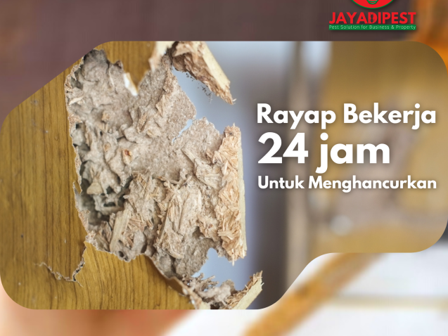 RAYAP BEKERJA 24 JAM MENGHANCURKAN PROPERTY ANDA, MASIH MAU MENUNDA