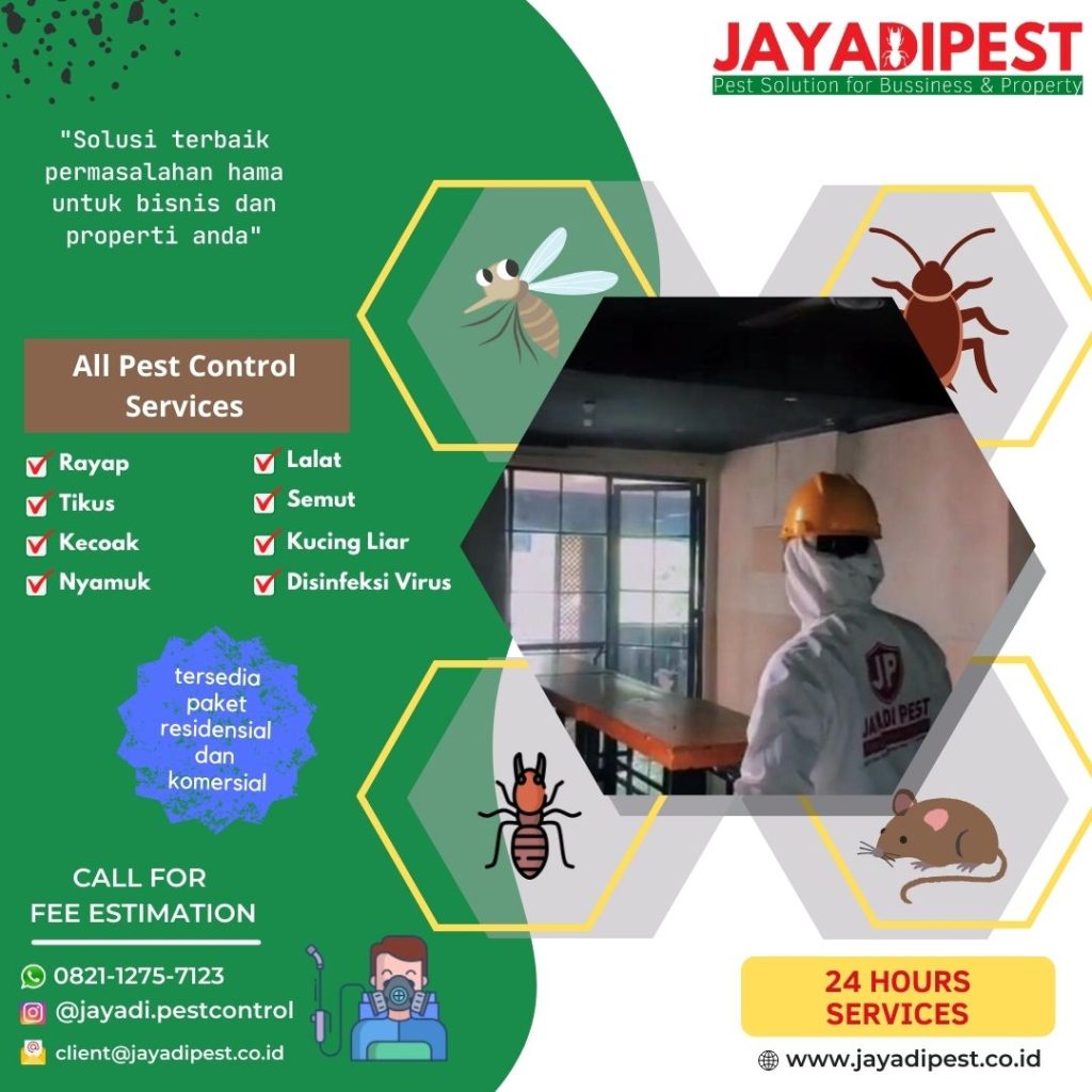 jasa pembasmi kecoa dan tikus