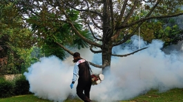 petugas fogging nyamuk