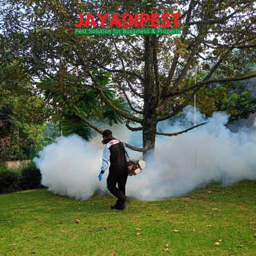 petugas fogging nyamuk
