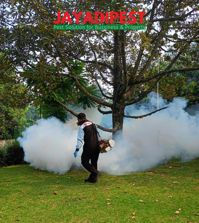 petugas fogging nyamuk