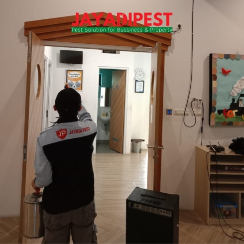 spraying basmi lalat