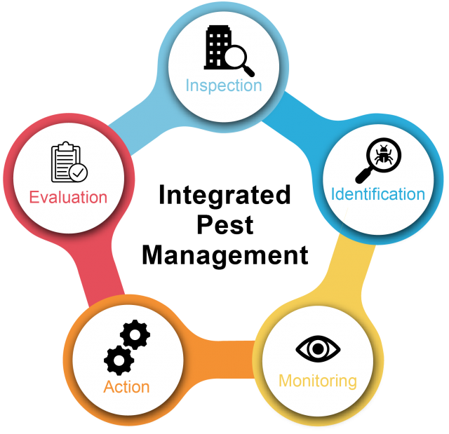 ipm-infographic