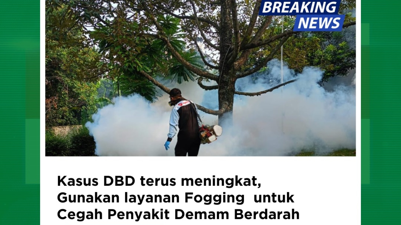 WhatsApp-Image-2024-05-10-at-11.53.29