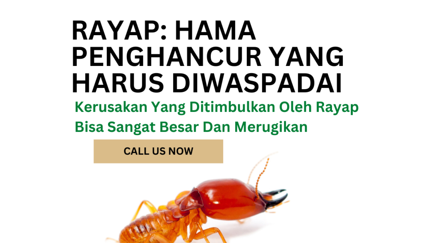 Salinan dari Salinan dari PEST CONTROL SPECIALIST (1)